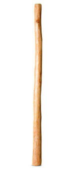 Medium Size Natural Finish Didgeridoo (TW1459)